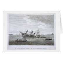 The Discovery on the Rocks in Queen Charlotte's So Card