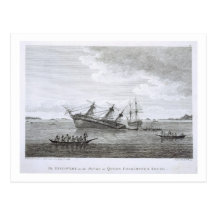 The Discovery on the Rocks in Queen Charlotte's So Postcard
