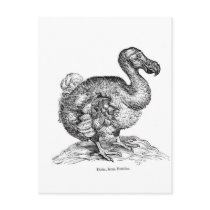 The Dodo Postcards