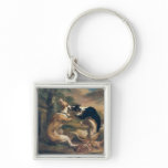 The Dog Fight, 1678 Keychains