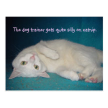 The Dog Trainer Gets Quite Silly on Catnip Postcards