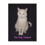 The Dog Trainer