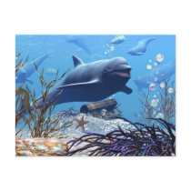 The Dolphins and The Treasure Chest Postcard