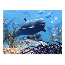The Dolphins and The Treasure Chest Postcard