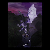 The DragonCat By David and Michelle Wilder posters