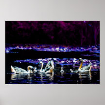 The Dreaming Lake Poster