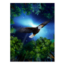 The eagle and the forest post card