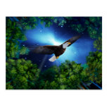 The eagle and the forest post cards