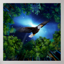 The eagle and the forest posters
