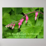 THE EARTH LAUGHS IN FLOWERS - BLEEDING HEARTS posters