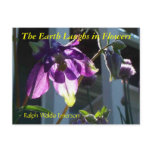 THE EARTH LAUGHS IN FLOWERS - COLUMBINE postcards