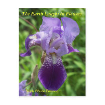 THE EARTH LAUGHS IN FLOWERS - IRIS POST CARDS