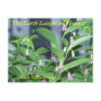 THE EARTH LAUGHS IN FLOWERS - ROSY TWISTED STALK POST CARD
