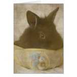 The Easter Bunny In a Candy Dish Card
