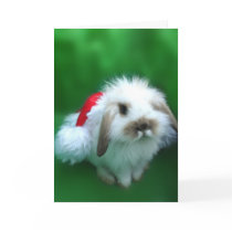 The Easter, Umm, Christmas Bunny