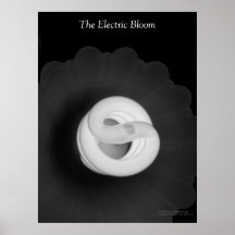 The Electric Bloom Poster