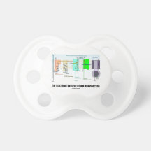 The Electron Transport Chain In Perspective Pacifiers