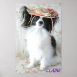 The Elegant Papillon