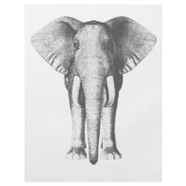 The Elephant Flyer Design