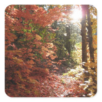 The Enchanted Forest (2) Stickers