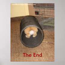 The End - Customized Posters