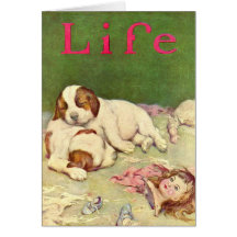 The End of a Perfect Day Greeting Cards
