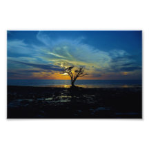 The End of Day Art Photo