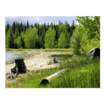 The end of the lake - Marshall Lake Postcards