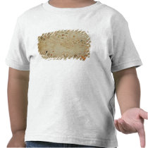 The entire Mediterranean Basin t-shirts