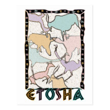 The Etosha Postcard