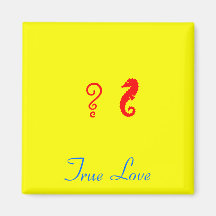 The Existential Seahorse_True Love Magnets