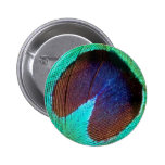 The Eye of The Peacock Pin