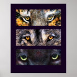The Eyes Have It, Poster