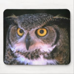 The Eyes Of Wisdom mousepads