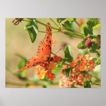 The face of Simplicity... Print