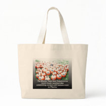 The Failed Mission of Pumpkingtonians Bag
