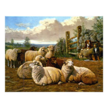 The faithful shepherds announcements