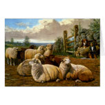 The faithful shepherds greeting card