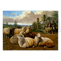 The faithful shepherds greeting card