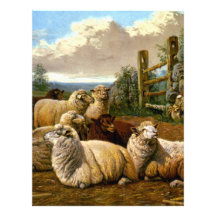 The faithful shepherds personalized letterhead