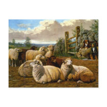 The faithful shepherds post card