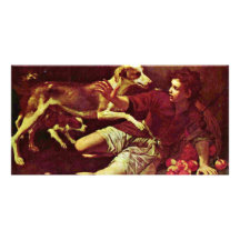 The Fallen Apple Cart By Villavicencio Pedro Nuñez Personalized Photo Card