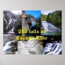 THE FALLS OF CAYUGA LAKE poster