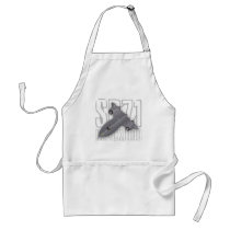 The fastest supersonic spy plane: SR-71 Blackbird Aprons