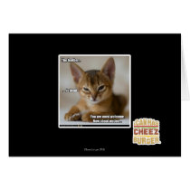 The feather is dead. greeting cards