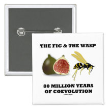 The Fig & The Wasp 80 Million Years Of Coevolution Pin