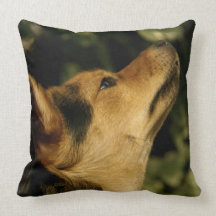 The Figaro Pillow