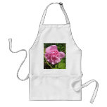 THE FIRST SENIOR PROM ROSE ON MY ROSEBUSH APRON