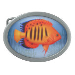 The Flame Angelfish Belt Buckle