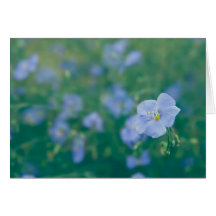 The Flax Fairy Card